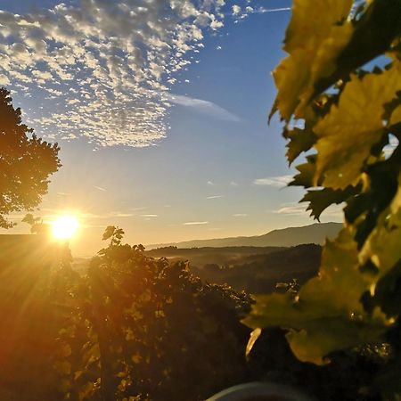 Вилла Peiserhof Ferien.Wein.Gut Suedsteiermark Wies Экстерьер фото